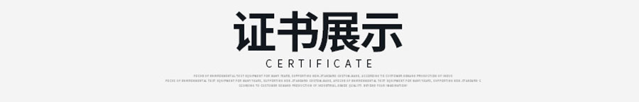 電(dian)熱恒溫鼓風幹燥箱（250度）